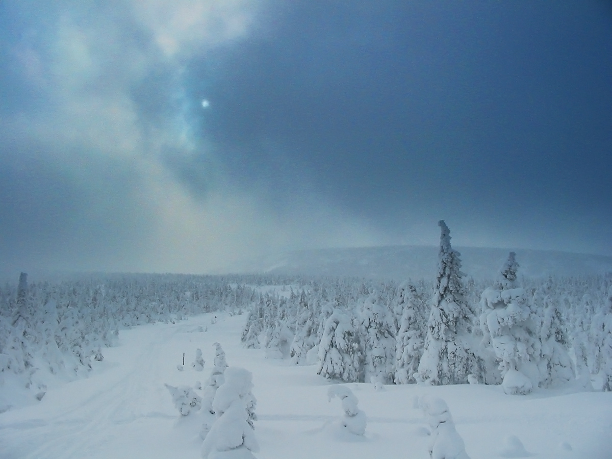 Mont Logan en 2015