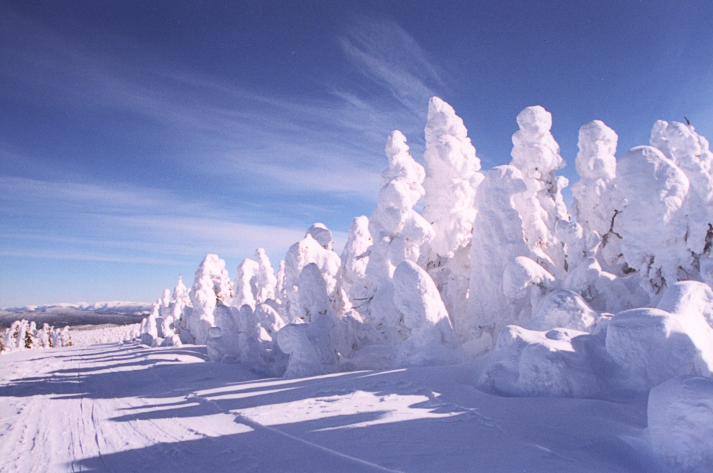 Mont Logan en hiver